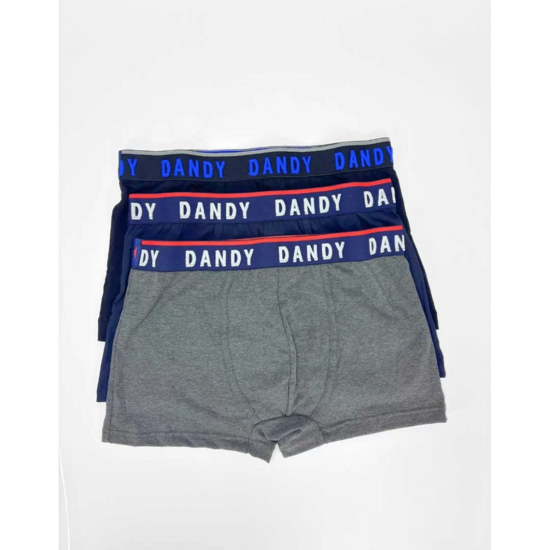 Boxer Uomo Cotone Dandy art. 253 BF Tripack
