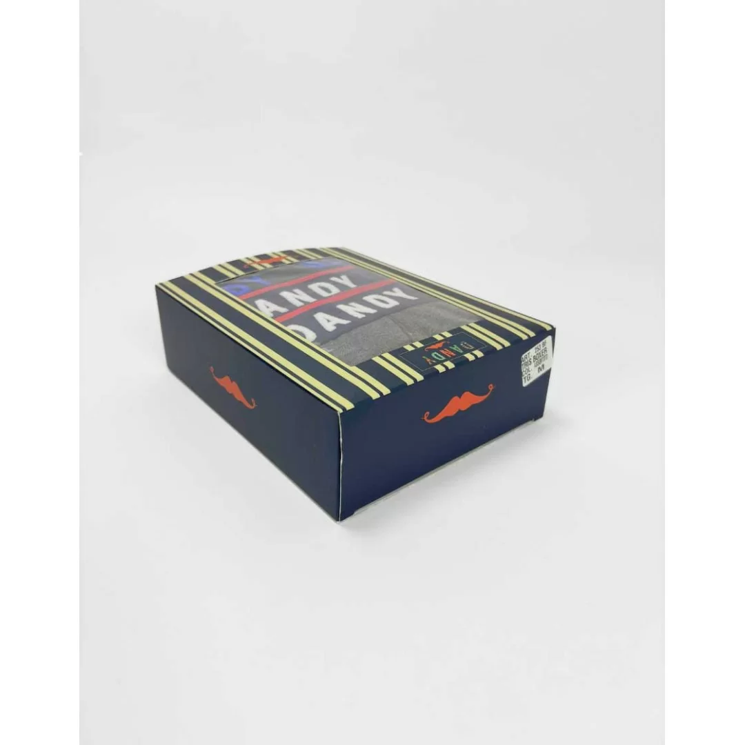 Boxer Uomo Cotone Dandy art. 253 BF Tripack