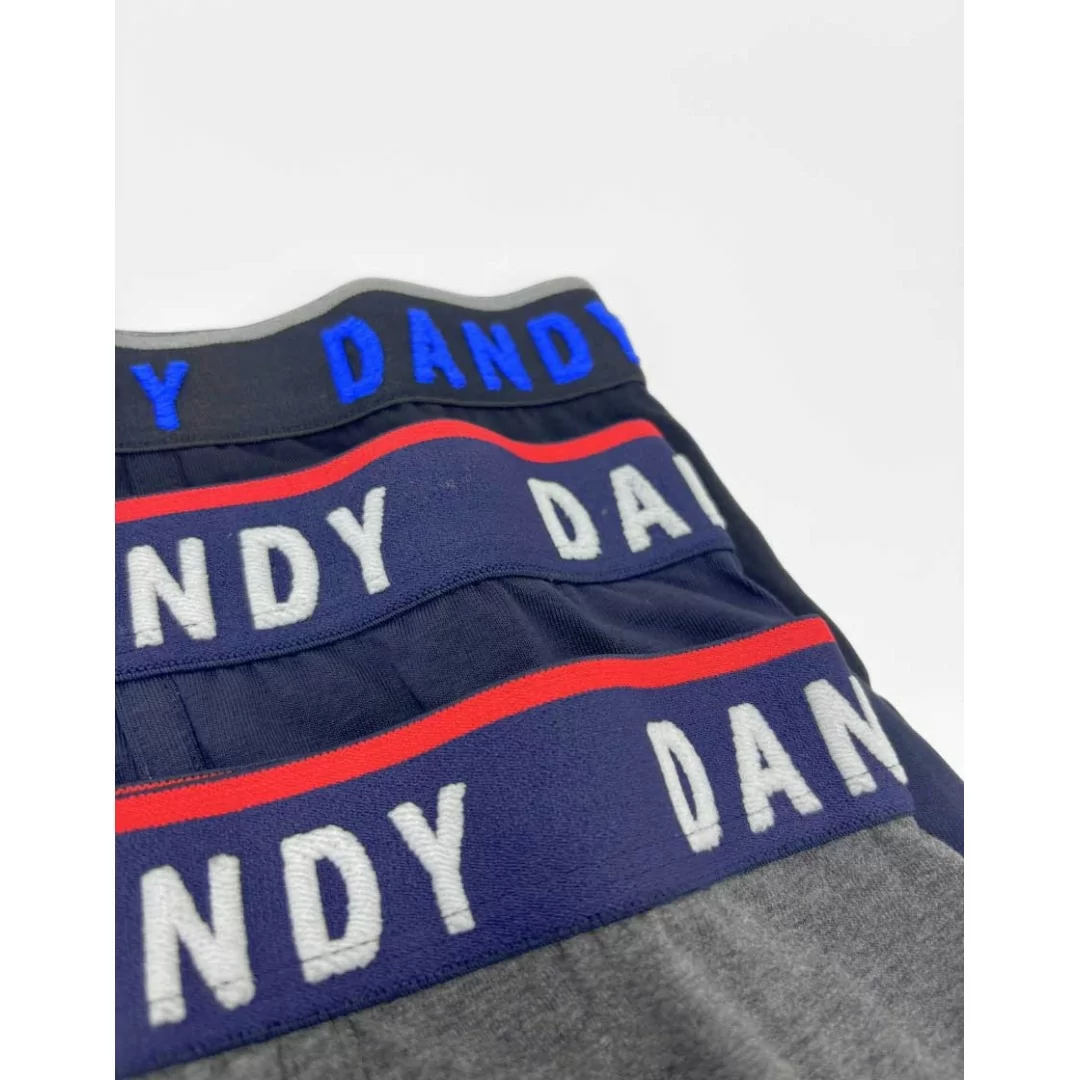 Boxer Uomo Cotone Dandy art. 253 BF Tripack