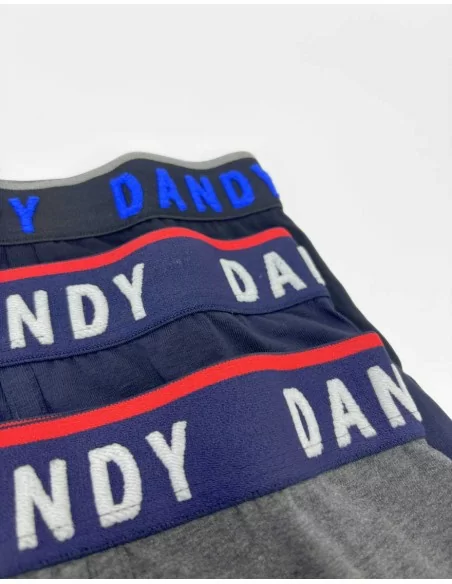 Boxer Uomo Cotone Dandy art. 253 BF Tripack