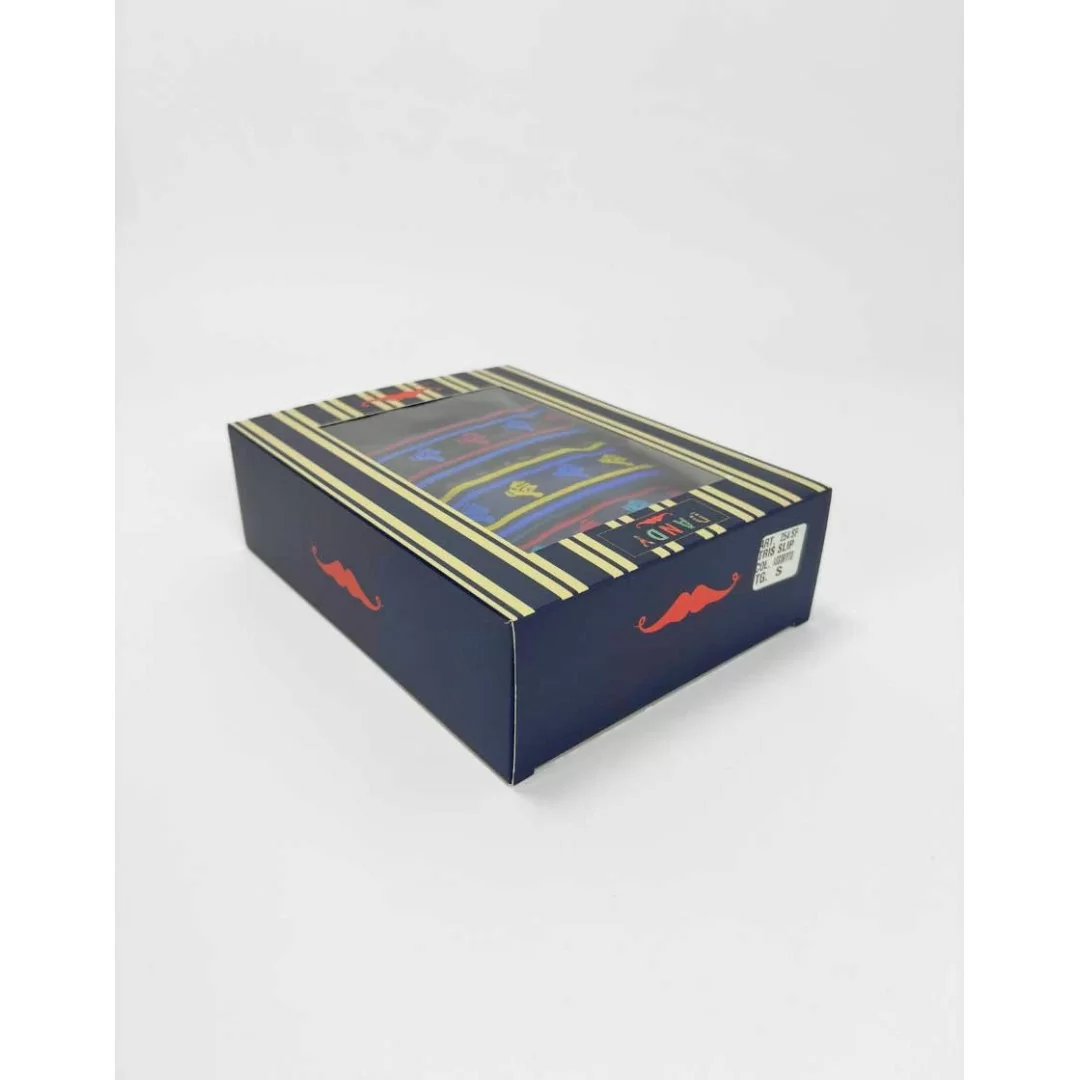 Slip Uomo Cotone Dandy art. 254 SF Tripack