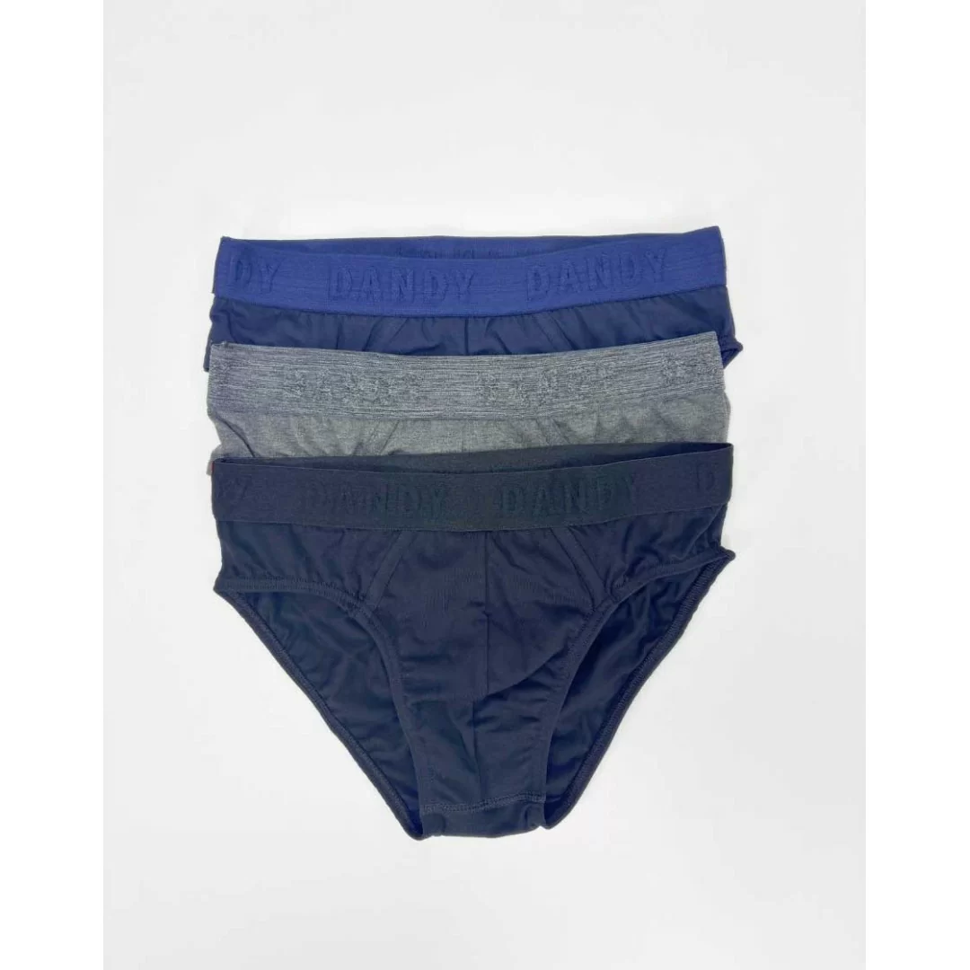 Slip Uomo Cotone Dandy art. 256 SF Tripack