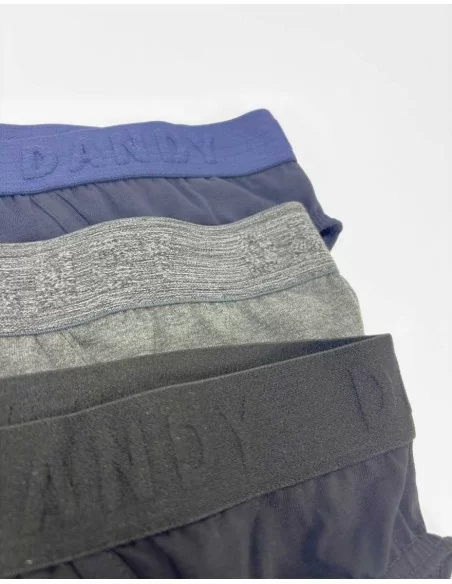 Slip Uomo Cotone Dandy art. 256 SF Tripack